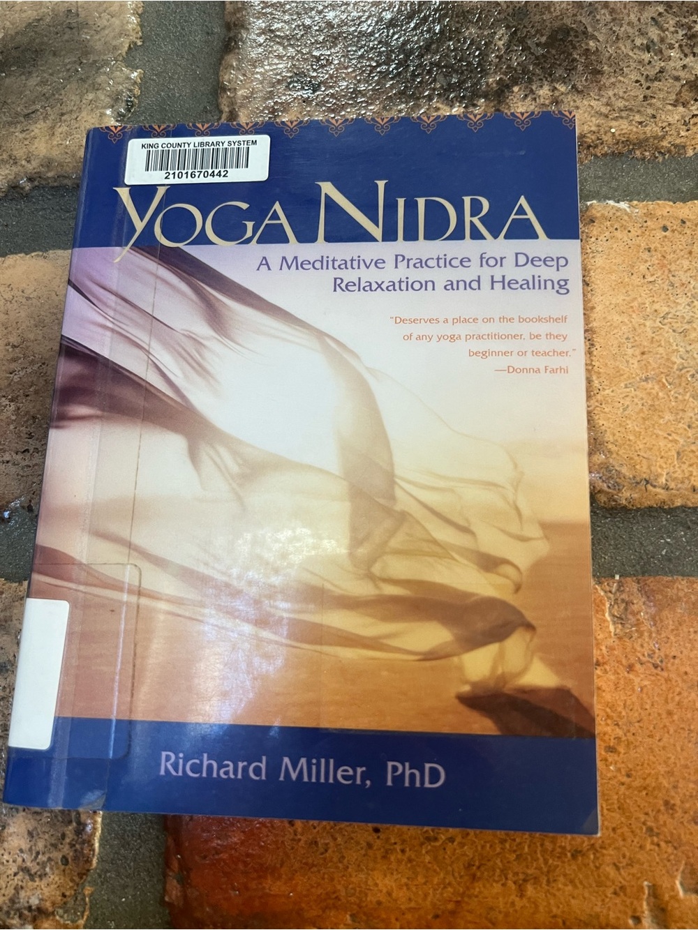 yoga nidra book